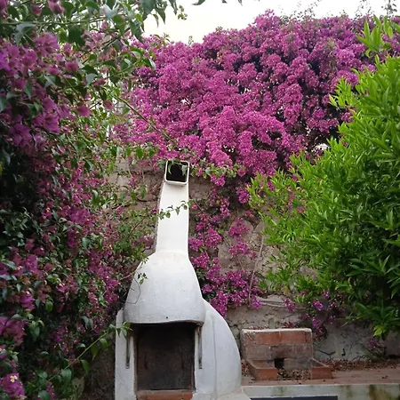 度假居 Deliziosa Casa Con Giardino *